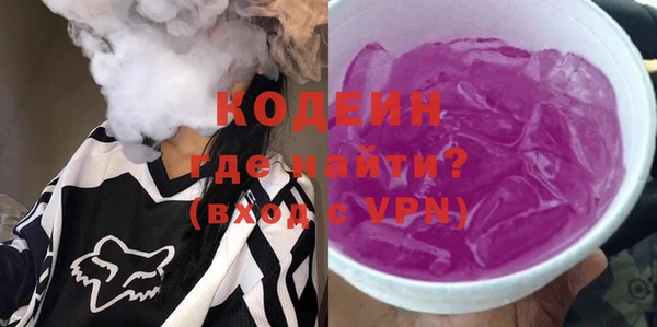 индика Протвино