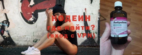 молекула духа Арсеньев