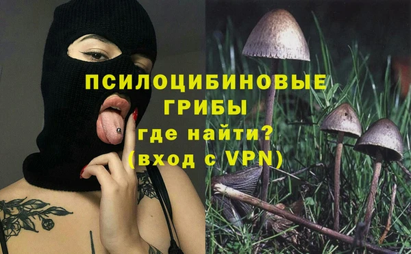 молекула духа Арсеньев