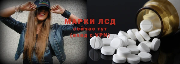 молекула духа Арсеньев