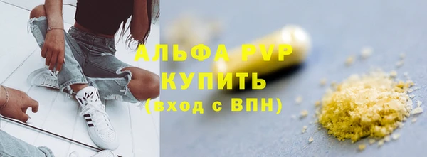 молекула духа Арсеньев