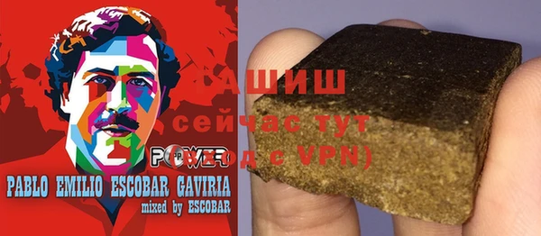 молекула духа Арсеньев