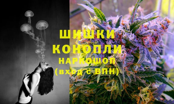 молекула духа Аркадак