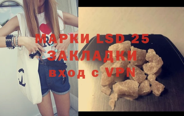 молекула духа Арсеньев