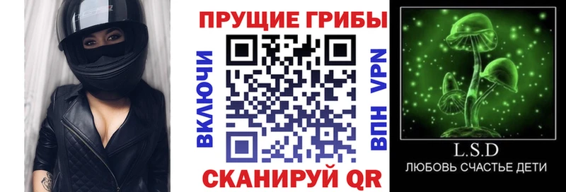 Псилоцибиновые грибы MAGIC MUSHROOMS  сколько стоит  Змеиногорск 